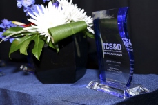 The TCS&D Awards 2014 29.jpg